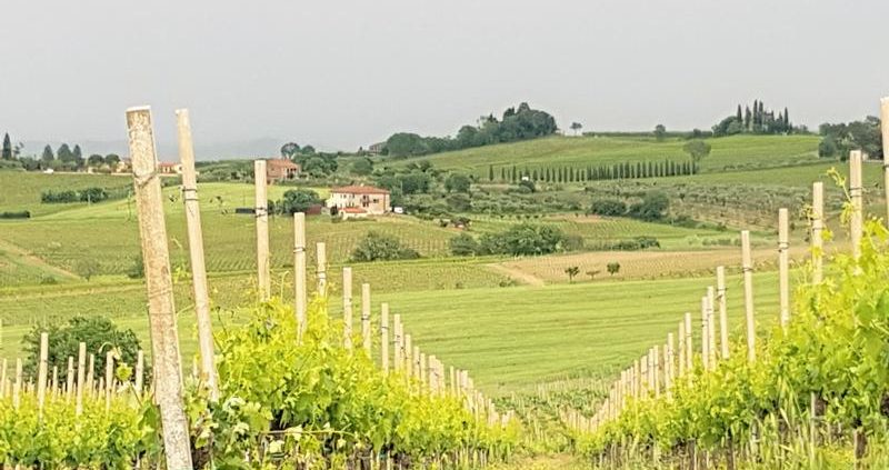 Biodynamische wijn_italiaansewijn_tastemorewine